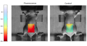 ultrasound-guided_fluorescence_nuvu-camer